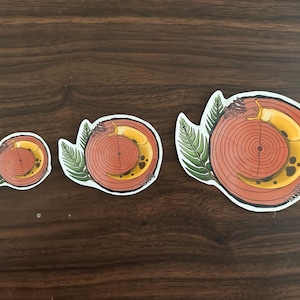 Limace banane sur séquoia Sticker