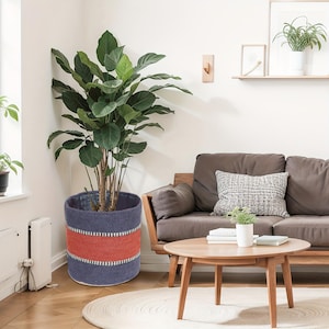 Op de afbeelding: Een grote kamerplant in een blauw en rood geweven plantenbak. De plantenbak heeft een blauwe basis en bovenkant met een horizontale rode streep in het midden. De plant heeft grote, groene bladeren en staat in een woonkamer.