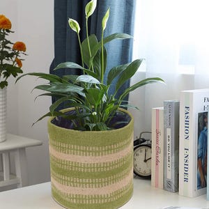 Może przedstawiać: Zielono-beżowa, pasiasta, tkana donica z rośliną skrzydłokwiatu. Roślina ma duże zielone liście i białe kwiaty. Donica stoi na białym stole w pobliżu okna z niebieską zasłoną. W tle widoczne są książki i zegar.