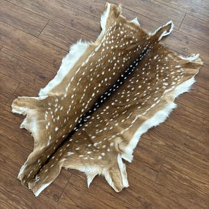 Tanned Axis Hide | Genuine Deer Hide Rug | Texas Hill Country