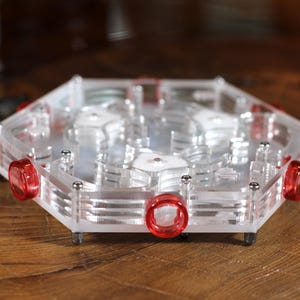 HexNest Branch - Clear Ant Formicarium