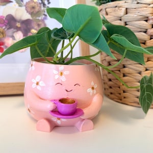 Cute Coffee Pot Planter, Succulent Planter, Unique Flower Pot- Peach Pink