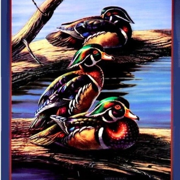 The Boys Three Ducks Novelty Metal Sign 12.5" X 17.4" NEW!