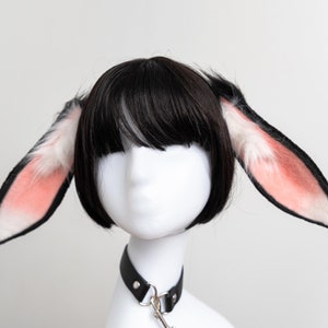 May include: A black wig with pink and white bunny ears and a black leather choker with a silver chain.