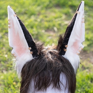 May include: A pair of black and white faux fur cat ears with gold-colored metal accents. The ears are worn on a person with dark brown hair.