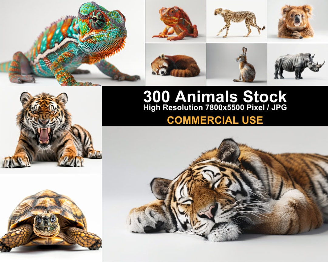300 Wildlife Animal Stock Images | High-resolution Safari Photo Bundle ...
