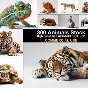 300 種類の動物のストック画像 | 高品質のストック写真バンドル | 野生動物とサファリの動物