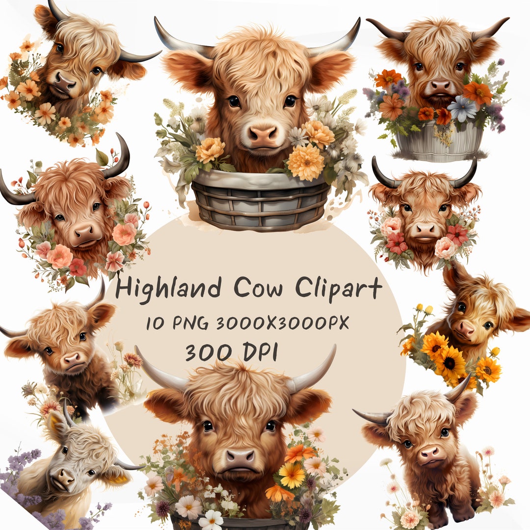 Baby Highlander Cow Sunflowers, Highland Cow Clipart, Baby Highland Cow