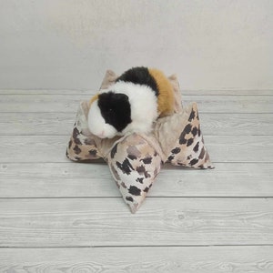 May include: A small, black, white, and brown guinea pig is sleeping in a star-shaped, brown and white patterned bed.