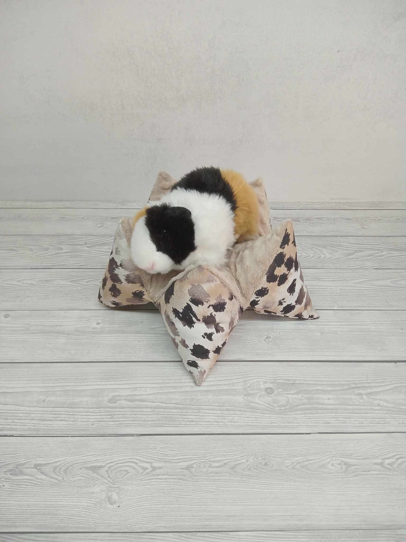 May include: A small, black, white, and brown guinea pig is sleeping in a star-shaped, brown and white patterned bed.