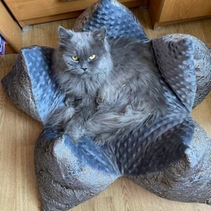 May include: A gray cat with yellow eyes is lying in a blue and brown star-shaped pet bed. The bed has a soft, plush texture.