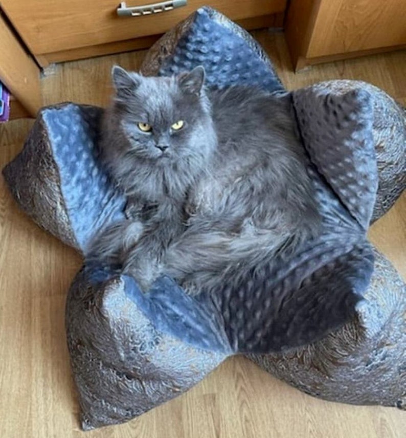 May include: A gray cat with yellow eyes is lying in a blue and brown star-shaped pet bed. The bed has a soft, plush texture.