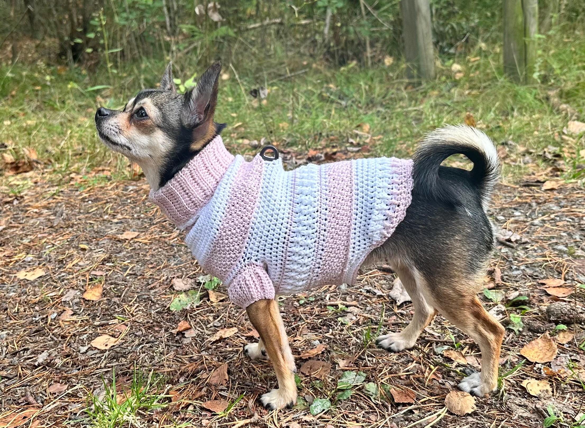 Wool Dog Sweater