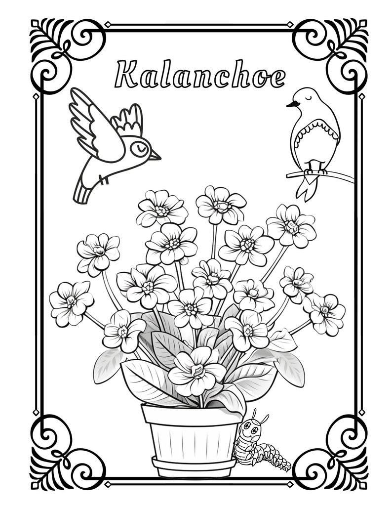 Flowers A to Z Adult Coloring Book Floral Coloring Pages Etsy