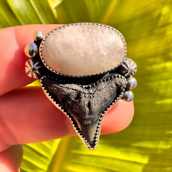 Moonstone and Fossilized Shark Tooth, One-of-a-Kind Boho Western Coastal Ring in Sterling and Fine Silver - Ready to Ship Size 9 Ring