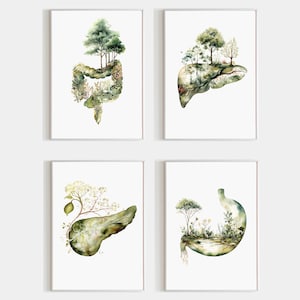 May include: Four framed watercolor prints featuring human organs integrated with natural landscapes. The prints depict the intestines, liver, pancreas, and stomach, each with trees and foliage. The color palette is primarily green and brown.