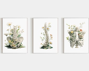 Floral Spine Pelvis And Rib Cage Art Set Of 3 Prints For Medical Office, Physical Therapy Room Decor, Chiropractor Gift, Digital Download