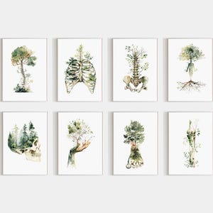 Puede incluir: Ocho impresiones artísticas enmarcadas con ilustraciones en acuarela de anatomía humana entrelazada con la naturaleza. Las imágenes representan la columna vertebral, la caja torácica, el cráneo y otras partes del cuerpo, cada una con árboles y follaje. La paleta de colores es principalmente verde y beige.