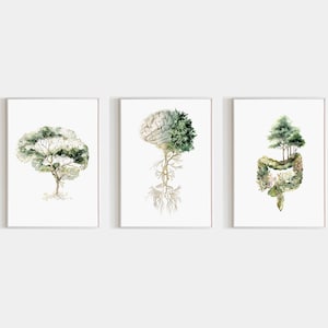 Peut inclure: Trois impressions d'art encadrées présentant des illustrations à l'aquarelle. L'une représente un arbre, une autre un cerveau et la troisième un système digestif, chacune avec des éléments en forme d'arbre. Les impressions sont sur fond blanc.