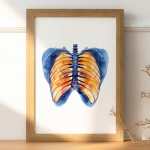 Rib Cage Print Watercolor Human Anatomy Art Skeleton Wall Decor Medical Office Decoration Doctor Gift For Osteopath Poster Physical Therapy