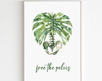 Personalized Physical Therapy Poster Pelvic Floor Art Pelvis and Rib Cage Watercolor Painting Chiropractor Gift for Physio Office Wall Decor