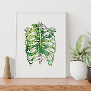 Dibujo de acuarela de hoja de monstera de caja torácica para imprimir, impresión artística de planta de anatomía médica, técnico de rayos X, descarga digital de filodendro de tórax
