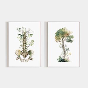 Könnte beinhalten: Zwei gerahmte Aquarelldrucke. Einer zeigt eine menschliche Wirbelsäule mit Blättern und Laub. Der andere zeigt eine baumartige Struktur mit einem Wirbelsäulenstamm und einer Blätterkrone. Beide auf weißem Hintergrund.