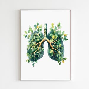 Impresión artística de anatomía pulmonar, decoración de pared para consultorio médico, diseño científico botánico pulmonar, ilustración verde única para el espacio de trabajo del médico