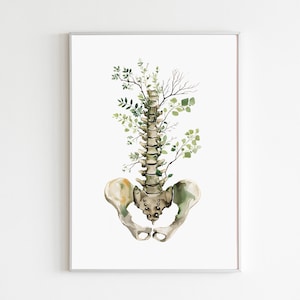 May include: Watercolor print of a human spine and pelvis, with green leafy branches growing from the vertebrae. The artwork is framed in a silver-colored frame and set against a white background. The illustration has a medical and botanical theme.