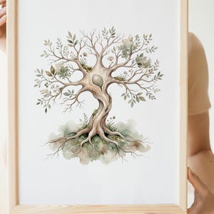 Könnte beinhalten: Ein gerahmter Kunstdruck mit einer Aquarellillustration eines gedrehten Baumes mit sichtbaren Wurzeln, gedämpften grünen Blättern und kleinen floralen Akzenten. Der Baum hat einen hellbraunen Stamm auf weißem Grund in einem hellen Holzrahmen.