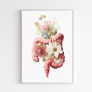 Könnte beinhalten: Ein gerahmter Druck mit einer stilisierten Illustration des menschlichen Darms, verziert mit einem Blumenarrangement. Der Darm ist in einem zarten Rosa gehalten, während die Blumen eine Vielzahl von Farben aufweisen, darunter Weiß, Rosa und Gelb.