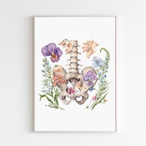 May include: A framed print featuring a watercolor illustration of a human pelvis and spine, surrounded by colorful flowers. The artwork showcases a detailed anatomical study with a botanical theme, blending medical and natural elements.