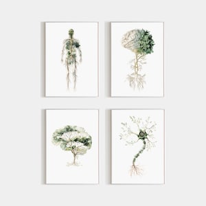May include: Four framed art prints featuring anatomical illustrations. The prints depict the human nervous system, a brain with foliage, a brain-shaped tree, and a neuron. The illustrations are in muted green and brown tones against a white background.