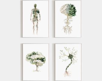 Conjunto de 4 impresiones del sistema nervioso, árbol cerebral, nervio vago, anatomía neuronal, decoración para clínica de neurología, arte digital para pared de consultorio de terapeuta.