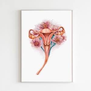 Baarmoeder eierstokken Art Print, bloemen vrouwelijk voortplantingssysteem anatomie muur artwork, decor gynaecologie kliniek, medische aquarel illustratie