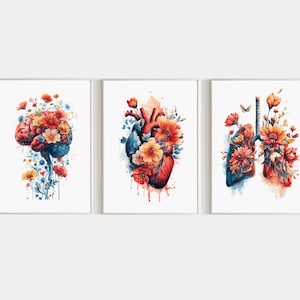 Puede incluir: Conjunto de tres láminas enmarcadas con acuarelas que representan ilustraciones anatómicas del cerebro, el corazón y los pulmones, cada una adornada con vibrantes arreglos florales en tonos rojos, naranjas y amarillos. Fondo blanco.