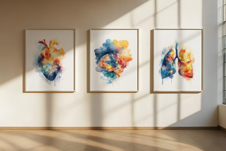 Brain Lungs Heart Poster Watercolor Anatomy Prints Set of 3 Wall Art ...