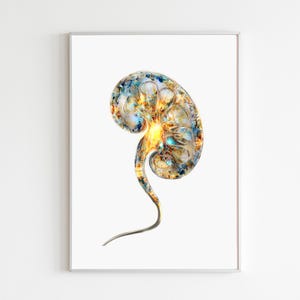 May include: An artistic print of a kidney, showcasing a detailed, colorful cross-section. The artwork features a blend of blues, yellows, and browns, with a bright, glowing center. The kidney is set against a clean white background, enhancing the vibrant colors.