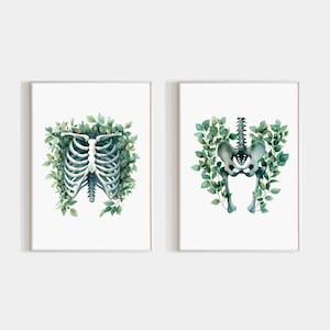 Pelvis Ribcage Watercolor Art Print Set Of 2, Floral Human Anatomy Painting, Rib Cage With Flowers Artwork Printable, Medical Office Decor