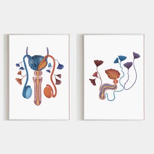 May include: Two illustrations of stylized floral arrangements with blue, orange, and purple leaves. The illustrations are framed in white frames and are set against a white background.