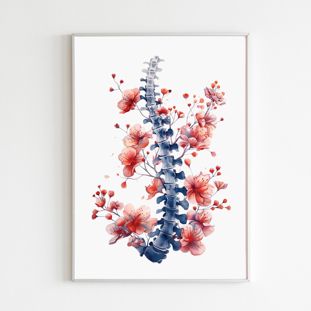 Chiropractic Art Print Physical Therapy Posters Spine Painting Chiropractor Office Decor Physiotherapy Wall Art Anesthesia Vertibrae - Etsy Australia