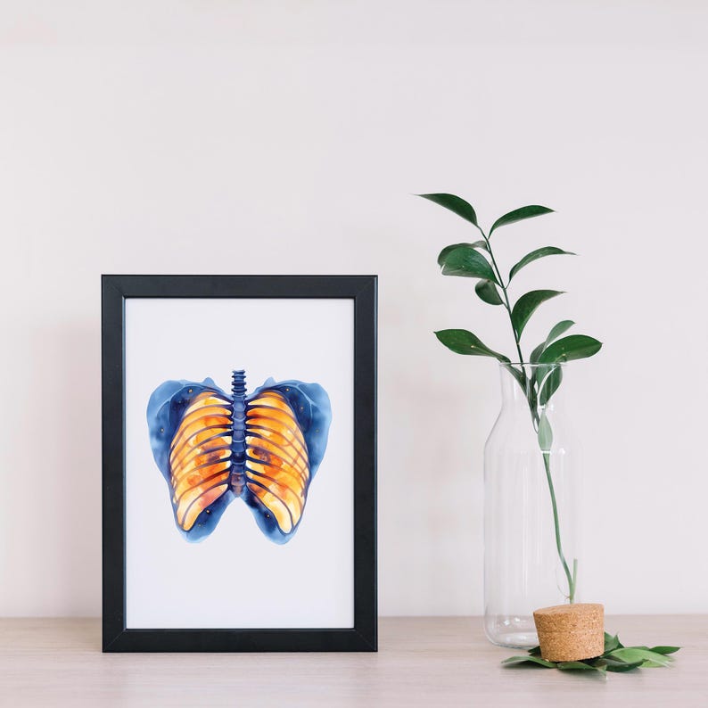 Anatomical Rib Cage Butterfly Watercolor Art Print, Medical Artwork ...