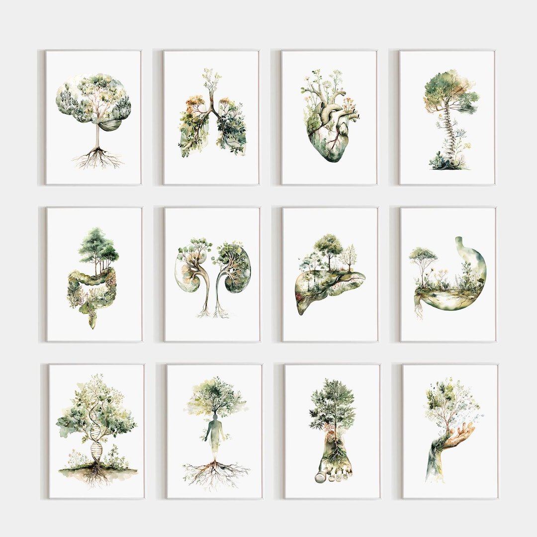 Botanical Anatomy Wall Art Set of 12, Medical Office Decor Bundle ...