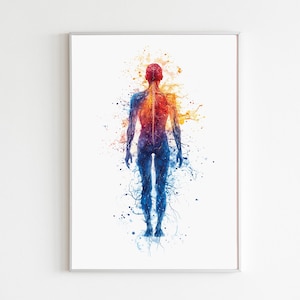 Può includere: Un dipinto ad acquerello di un corpo umano con un sistema nervoso colorato. Il dipinto è realizzato in tonalità di blu, rosso, arancio e giallo.