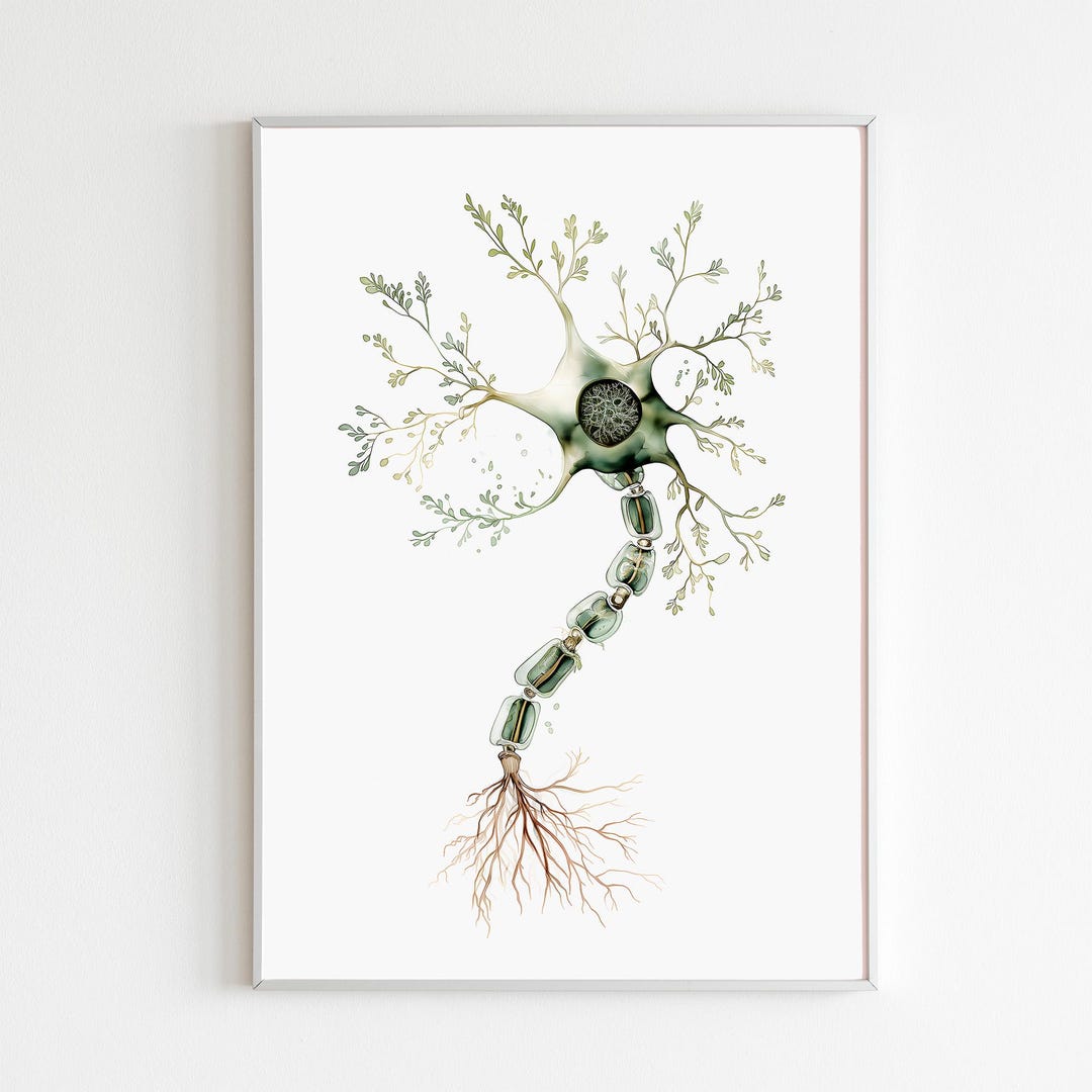 Neuron Watercolor Art Print, Abstract Brain Cell Decor, Anatomical ...