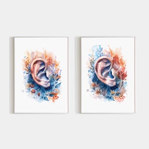 May include: Two watercolor paintings of a human ear surrounded by blue and orange flowers. The ear in the left painting is facing forward, while the ear in the right painting is facing sideways.