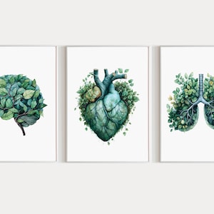 Hart hersenen longen aquarel Art Print set van 3, afdrukbare menselijke anatomie muur decor, medisch kantoor poster, botanische ziekenhuis decoratie