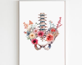 Pelvic Floor Art Print Physical Therapy Office Decor Pelvis Watercolor Print Chiropractic Wall Art Human Anatomy Printable Art Skeleton