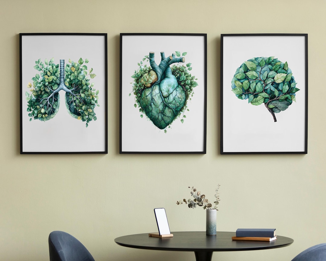 Botanical Heart Lungs Brain Poster Anatomy Wall Art Set of 3 Prints ...
