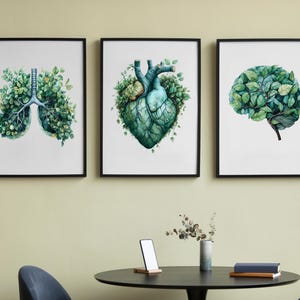 Könnte beinhalten: Drei gerahmte Kunstdrucke mit Aquarellillustrationen menschlicher Organe. Die Drucke zeigen Lunge, Herz und Gehirn, jeweils aus grünen Blättern und Laub zusammengesetzt. Das Kunstwerk ist vor einem weißen Hintergrund in Schwarz gerahmt und an einer Wand ausgestellt.